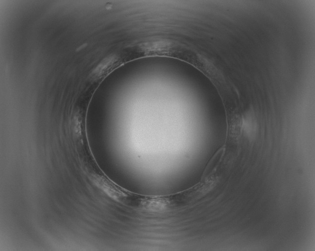 X0000081290282200701111406