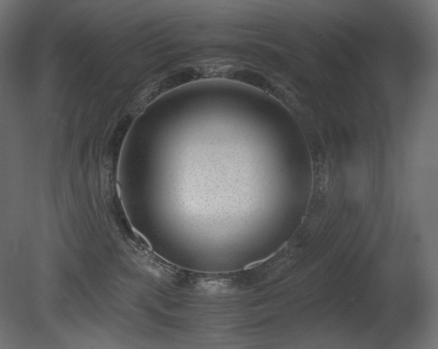 X0000081290283200701111406