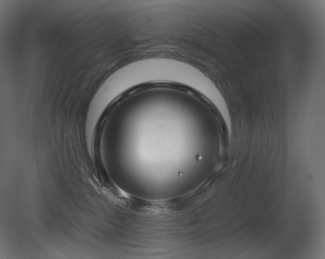 X0000081290284200701111406