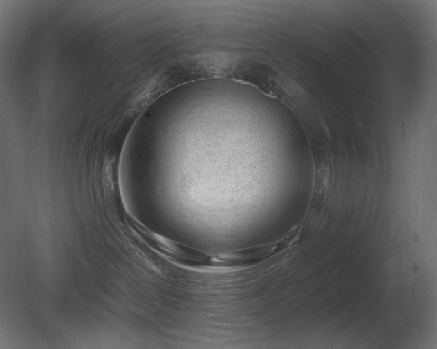 X0000081290286200701111406