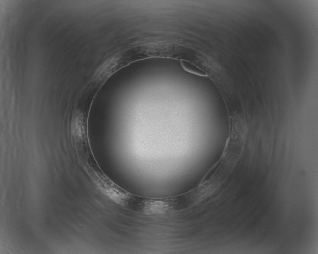 X0000081290287200701111406