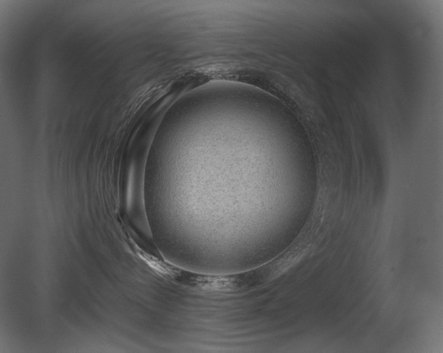 X0000081290288200701111406