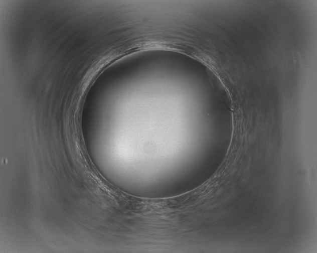X0000081290289200701111406