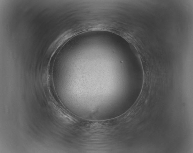 X0000081290290200701111406
