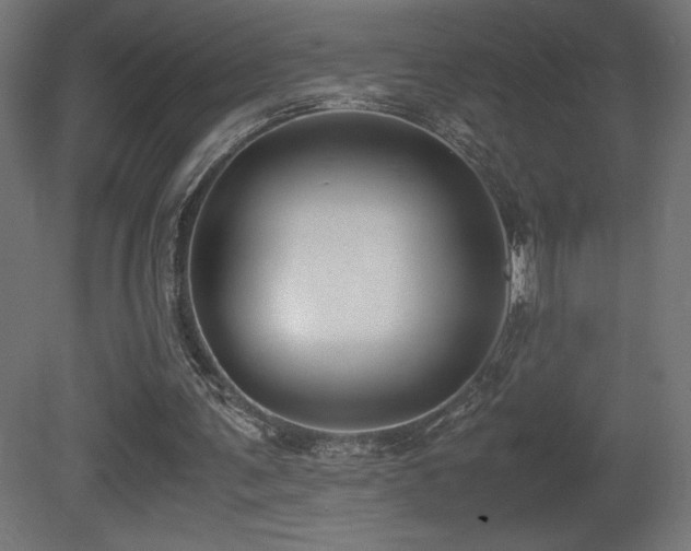 X0000081290291200701111406