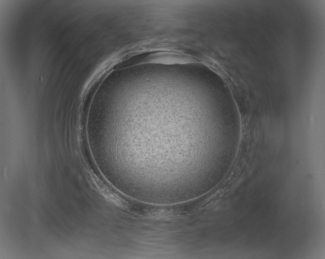 X0000081290293200701111406