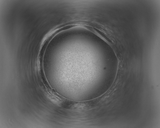 X0000081290294200701111406