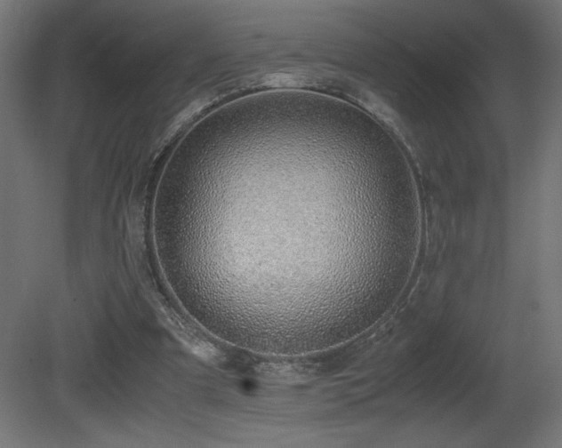 X0000081290297200701111406