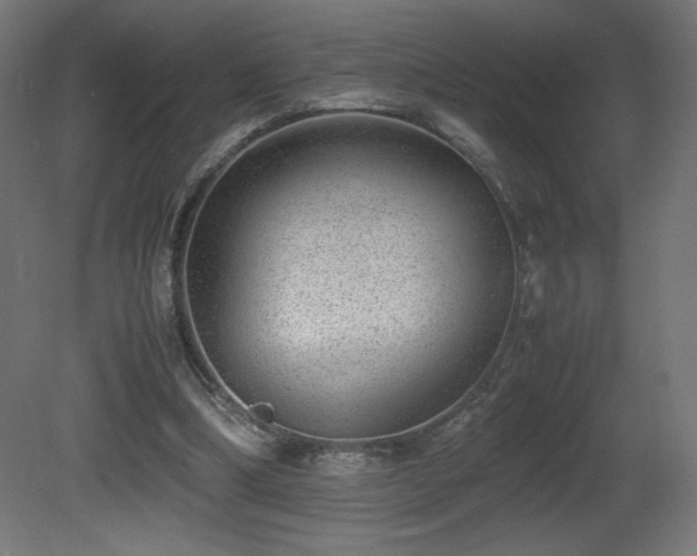 X0000081290298200701111406