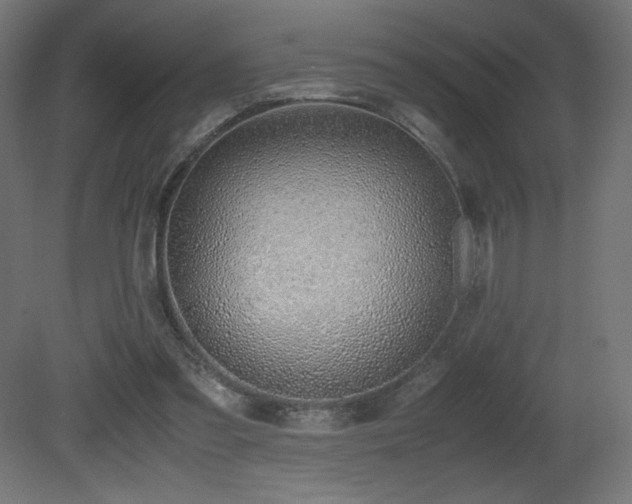 X0000081290301200701111405