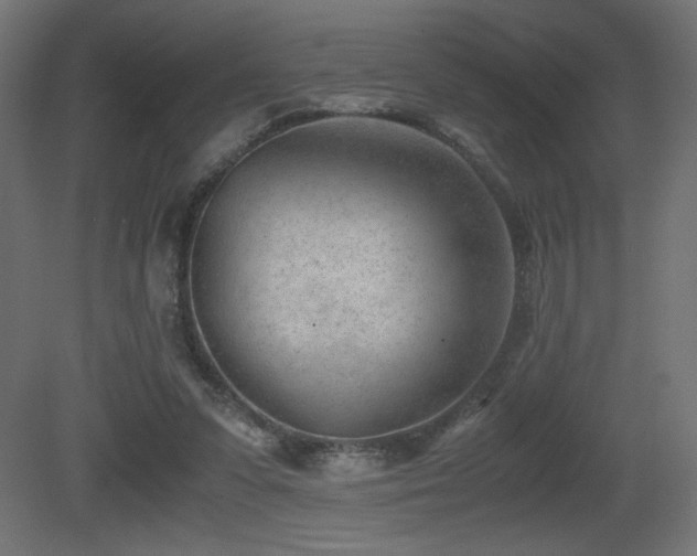 X0000081290303200701111405