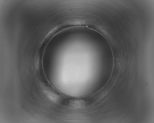 X0000081290304200701111405