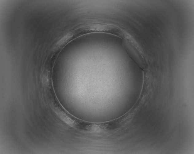 X0000081290305200701111405