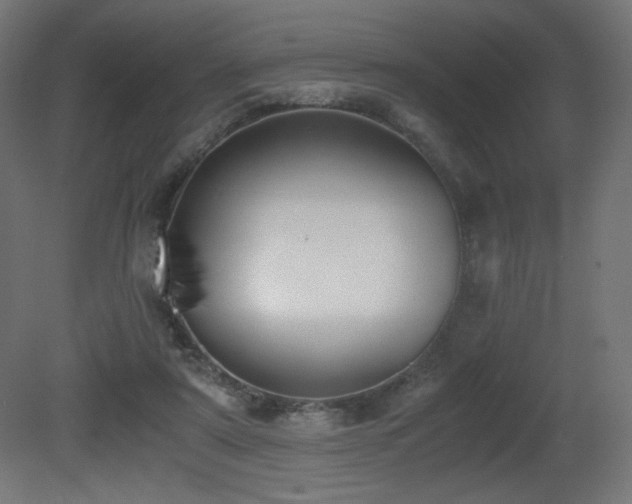 X0000081290307200701111405