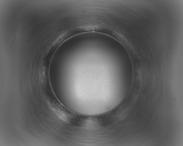 X0000081290308200701111405