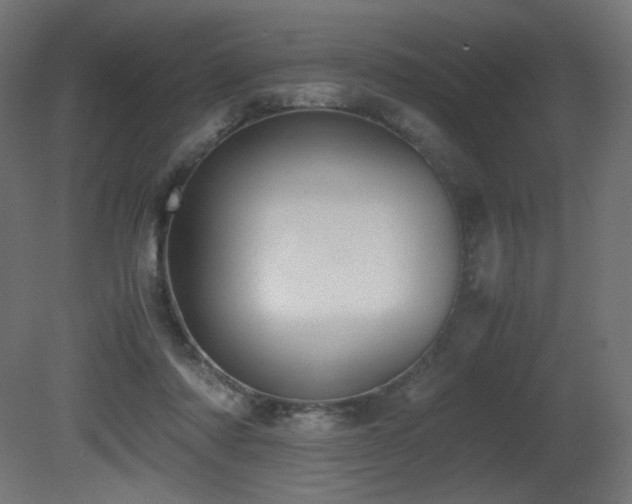 X0000081290310200701111405