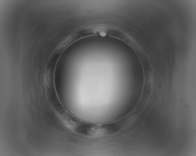 X0000081290311200701111405