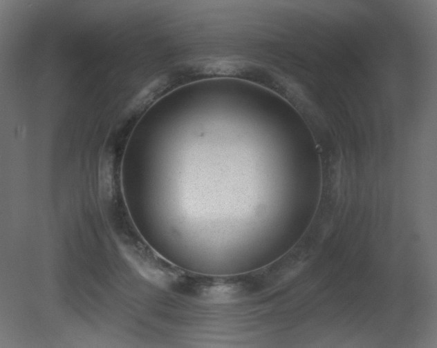 X0000081290312200701111405