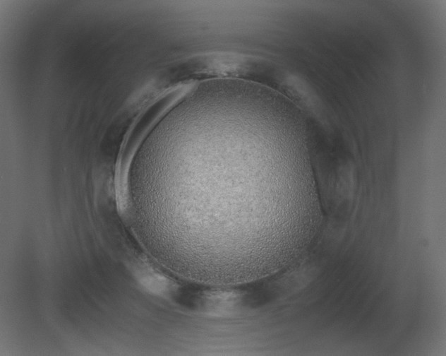 X0000081290313200701111405