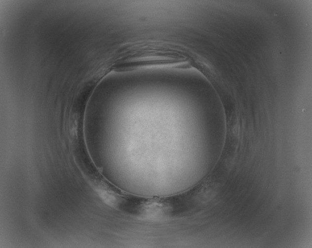 X0000081290315200701111405