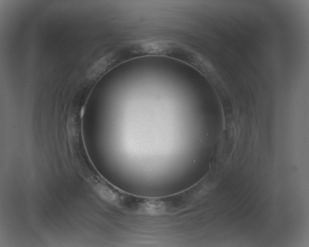 X0000081290317200701111405