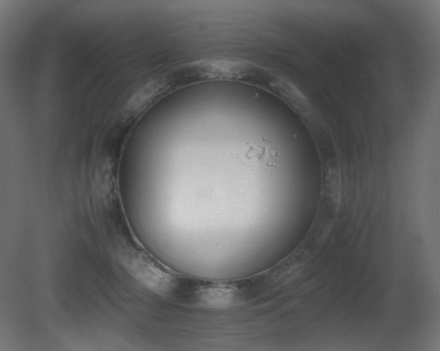 X0000081290318200701111405
