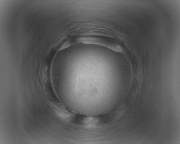 X0000081290319200701111405