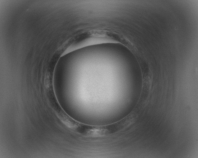 X0000081290323200701111405