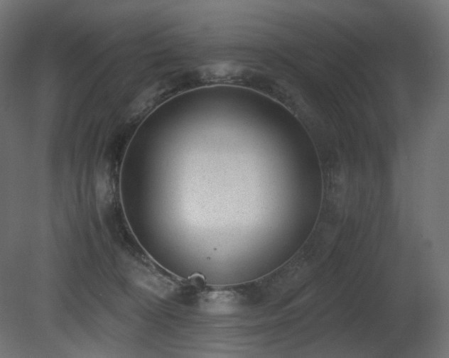 X0000081290324200701111405