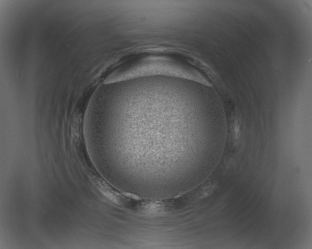 X0000081290325200701111405