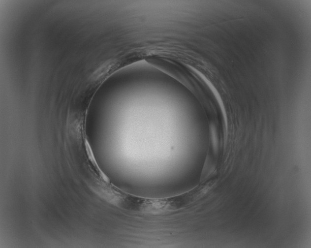 X0000081290329200701111405