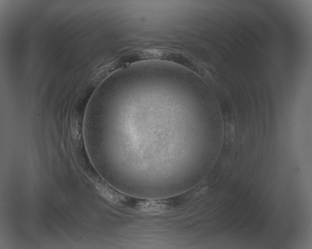 X0000081290331200701111405