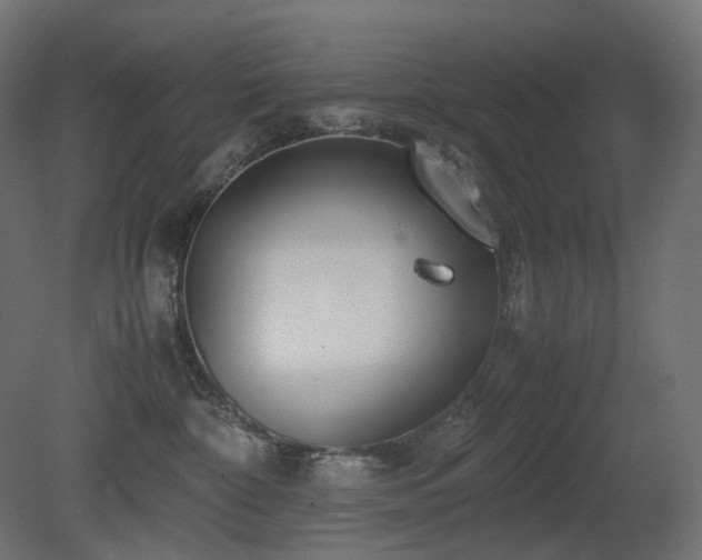 X0000081290332200701111405