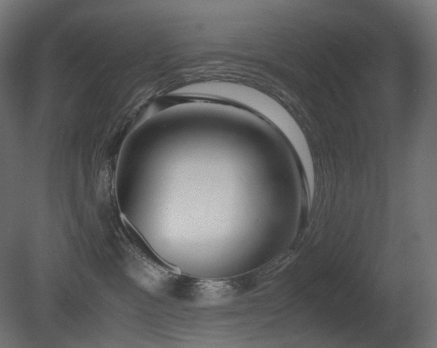 X0000081290333200701111405