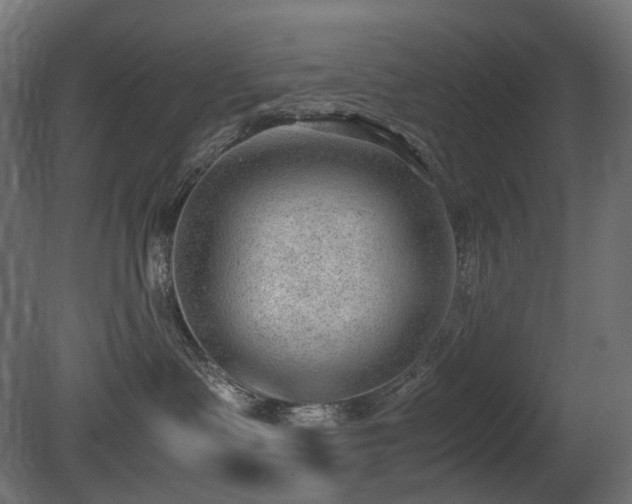 X0000081290335200701111405