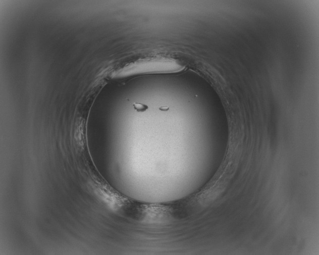 X0000081290336200701111405