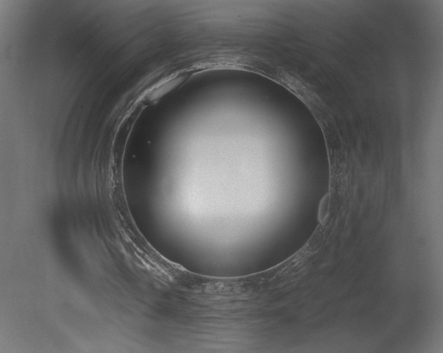 X0000081290338200701111404