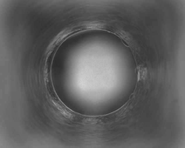 X0000081290339200701111404