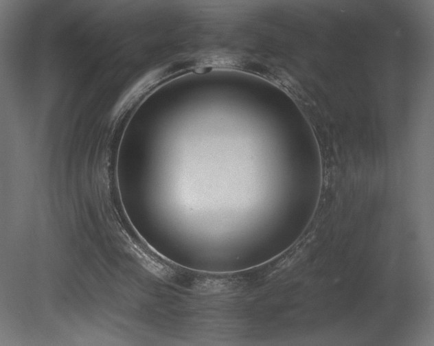 X0000081290341200701111404