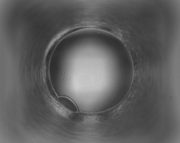 X0000081290342200701111404