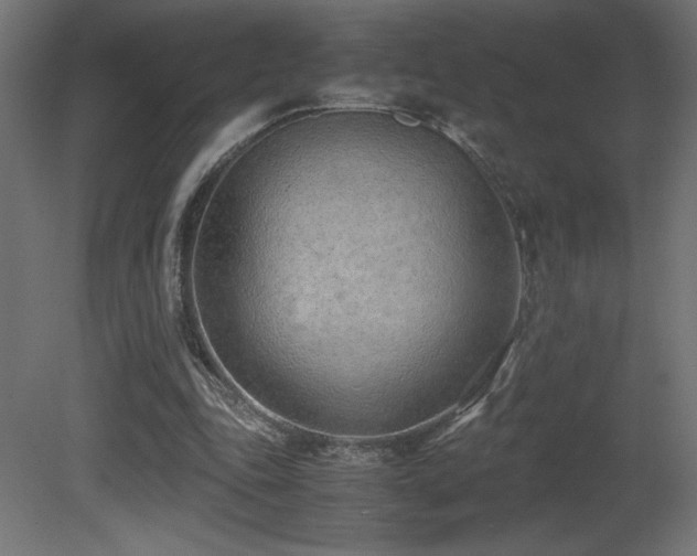 X0000081290343200701111404