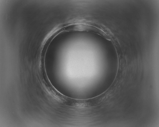 X0000081290344200701111404