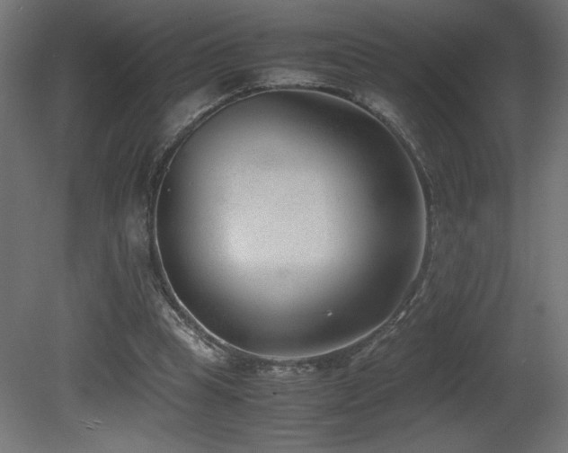 X0000081290345200701111404