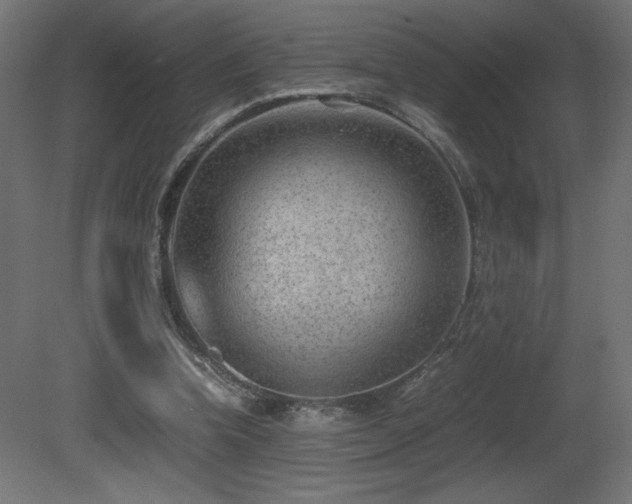 X0000081290346200701111404