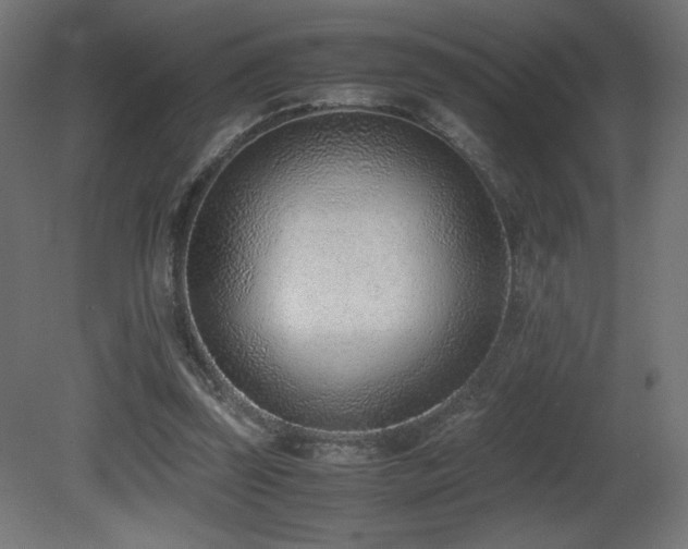 X0000081290347200701111404