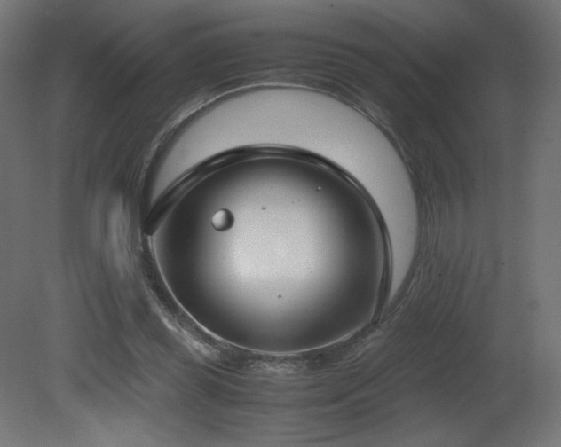 X0000081290349200701111404