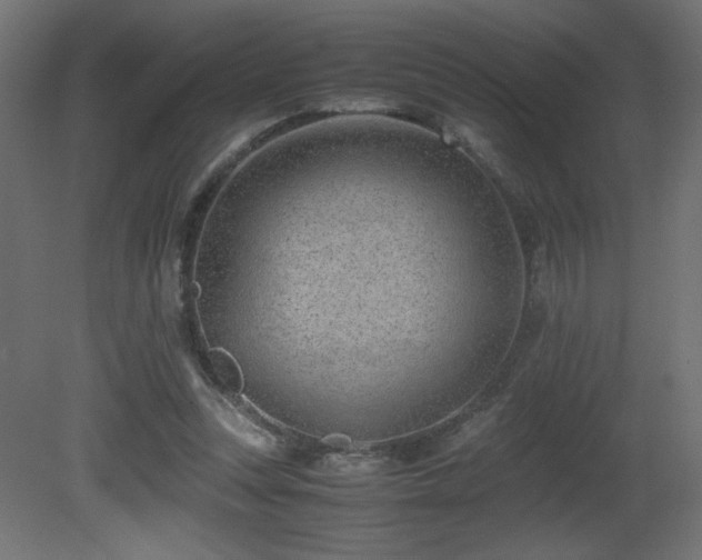 X0000081290351200701111404
