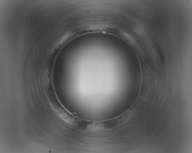 X0000081290354200701111404