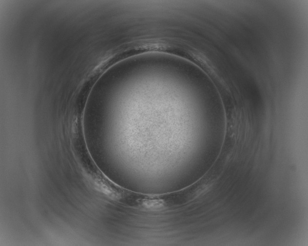 X0000081290355200701111404