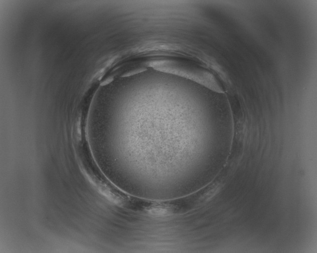 X0000081290358200701111404